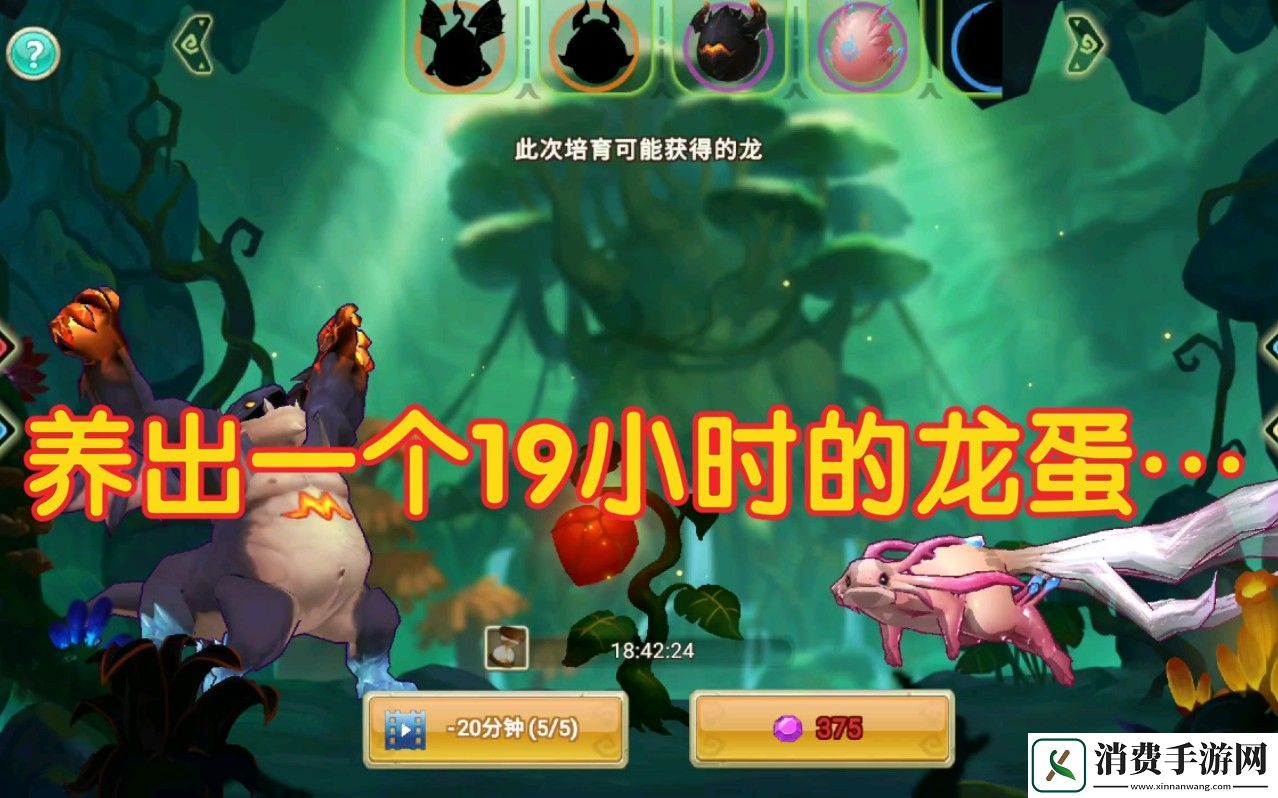龙岛异兽探秘