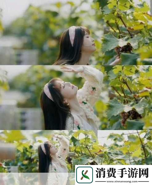 www免费观看高清主题