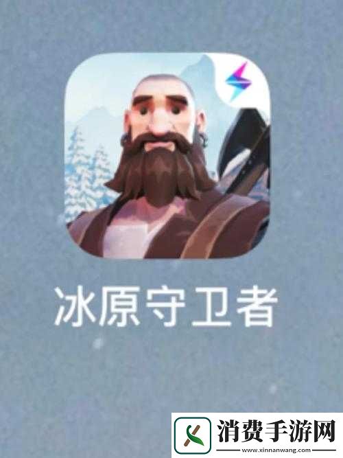 探索冰原守卫者画的奥秘