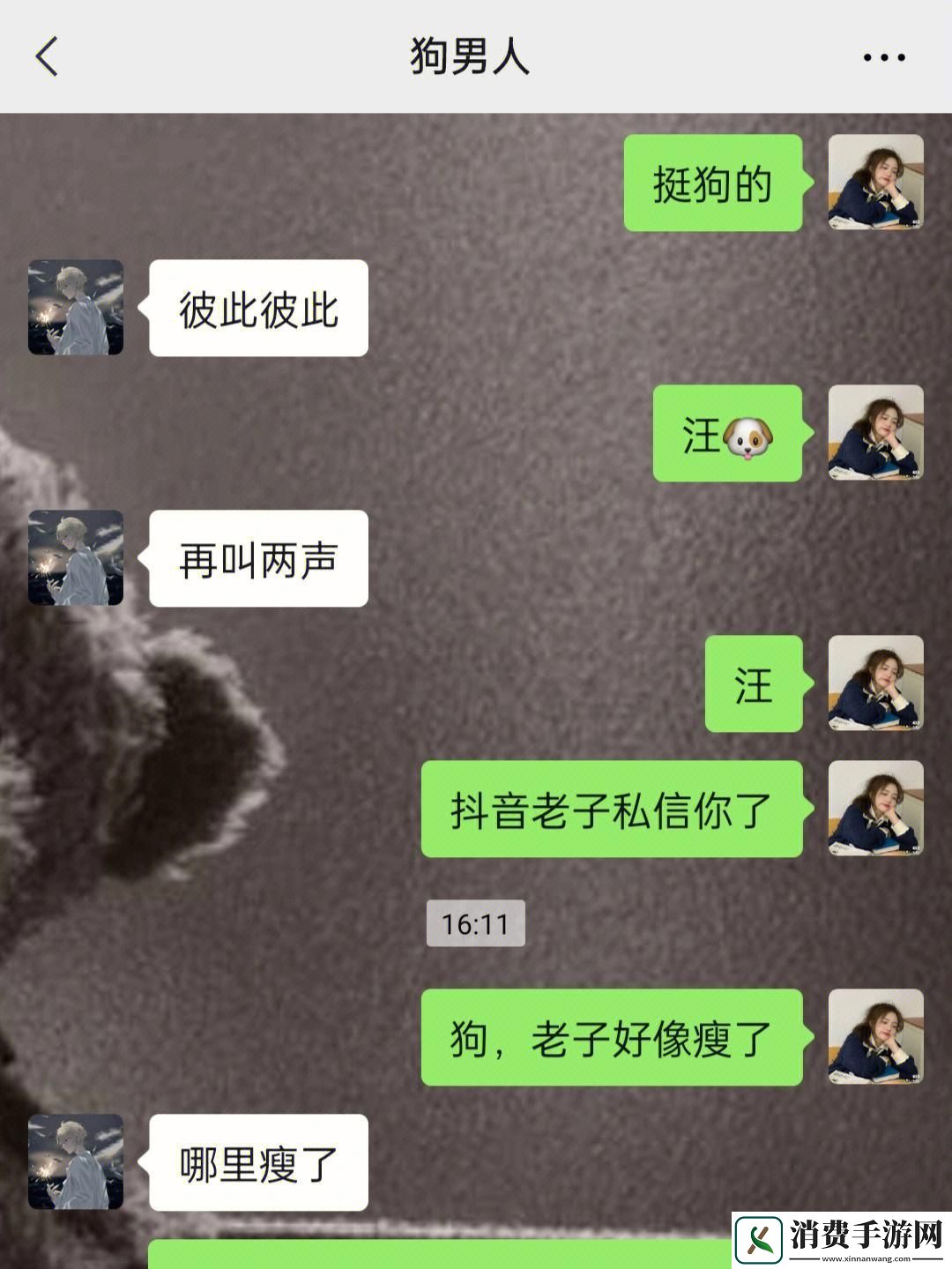 我的狗夫君