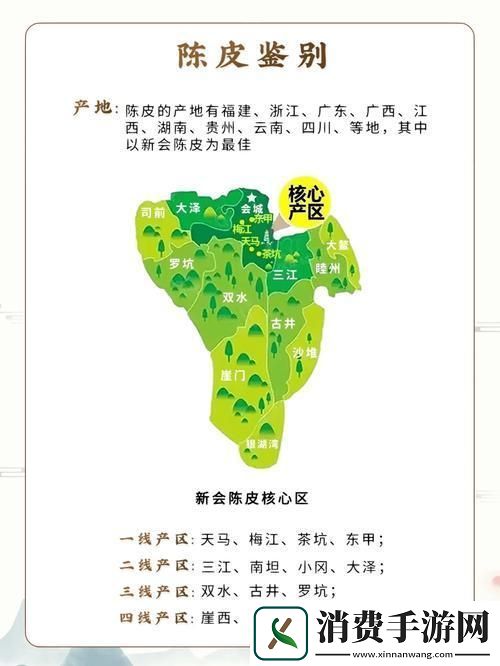 科技江湖