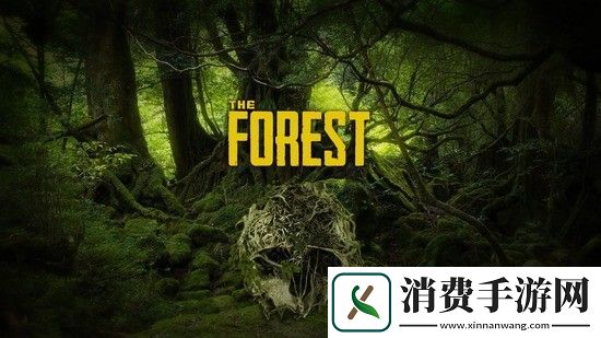 森林控制台怎么打开