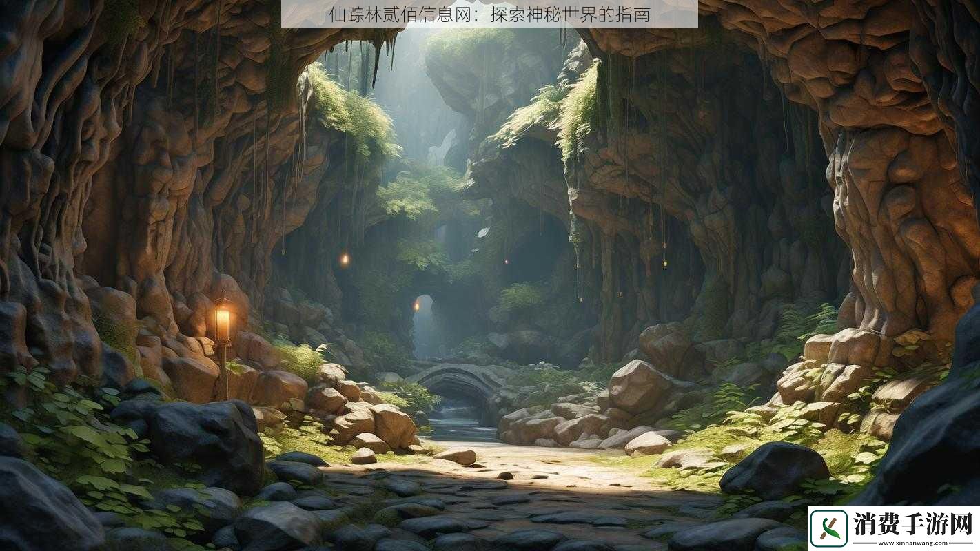 仙踪林贰佰信息网
