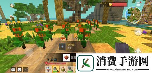 手工星球怎么种植开垦荒地种植方法介绍