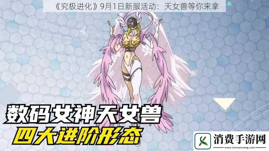 究极进化9月1日新服活动