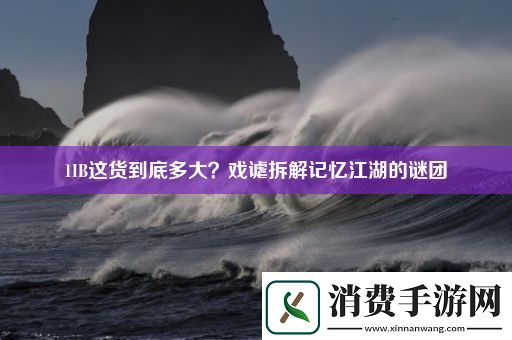 1IB这货到底多大