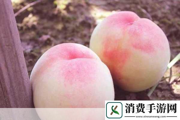 久久夜精品水蜜桃