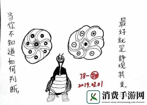 静观其变的生肖最佳答案