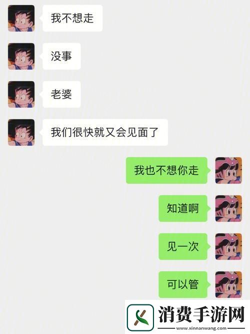 异地情狂