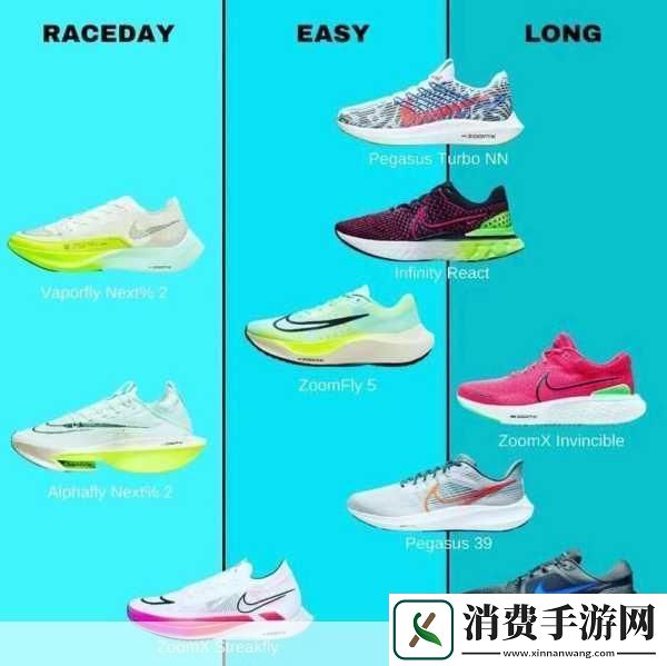Zoom与人性Zoom1区别