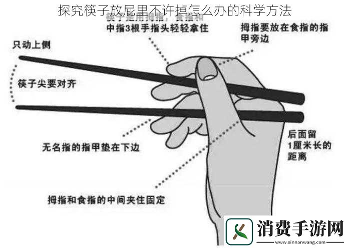 探究筷子放屁里不许掉怎么办的科学方法