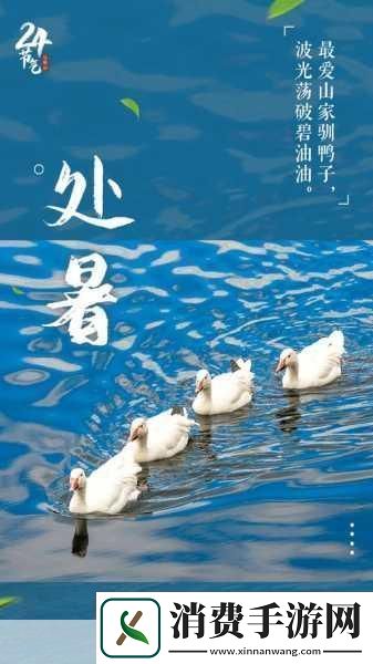 处暑巧云之谜