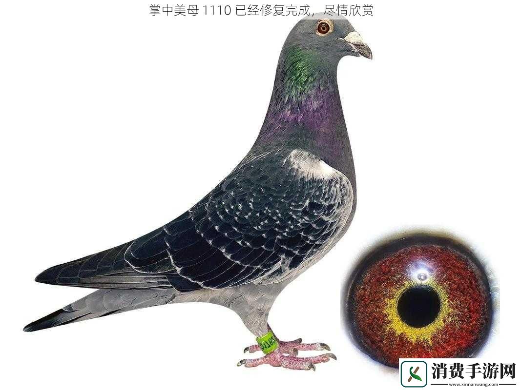 掌中美母