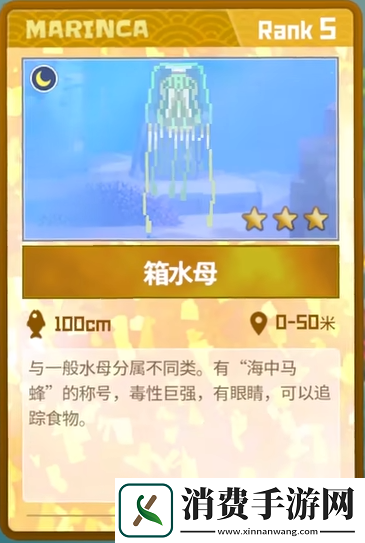 潜水员戴夫箱水母怎么抓