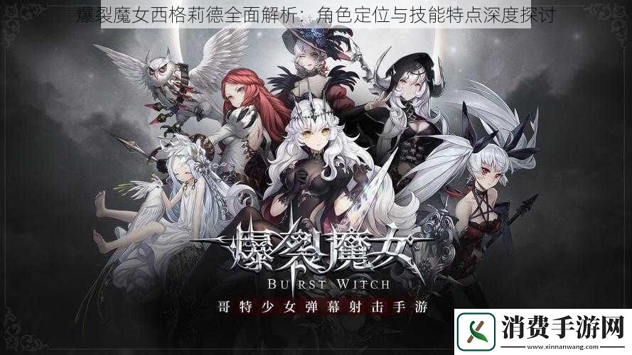 爆裂魔女西格莉德全面解析