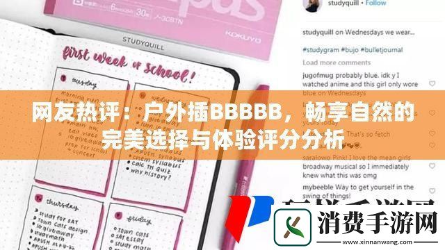 网友热评