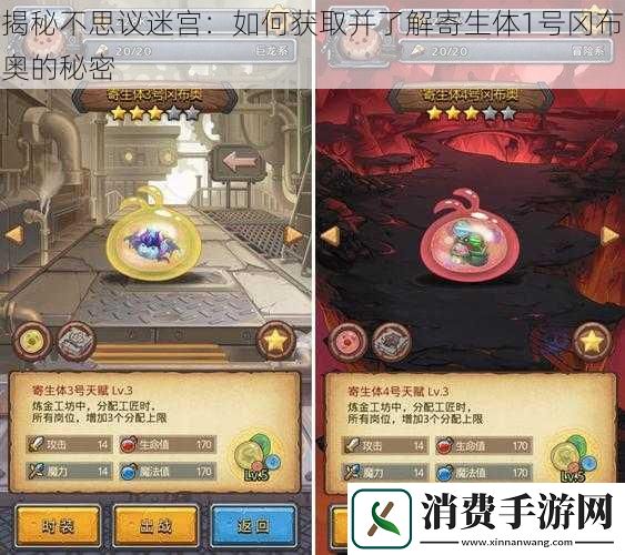 揭秘不思议迷宫
