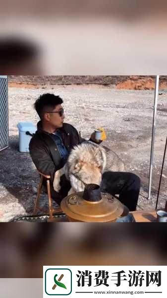 团队合作的重要性1.