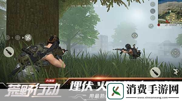 荒野行动PC客户端的成功与玩家反馈引言