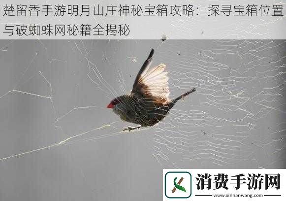 楚留香手游明月山庄神秘宝箱攻略