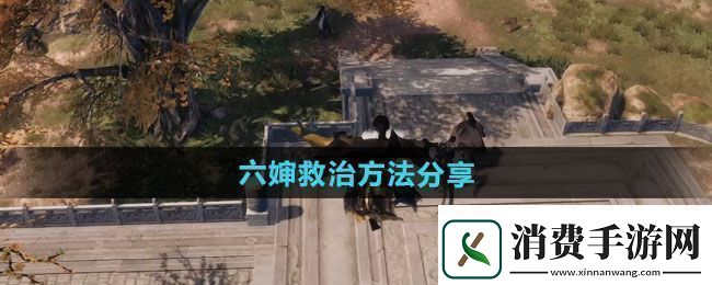 下一站江湖2六婶如何救治