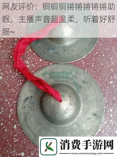 网友评价