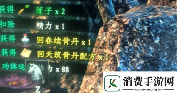 下一站江湖2六婶如何救治