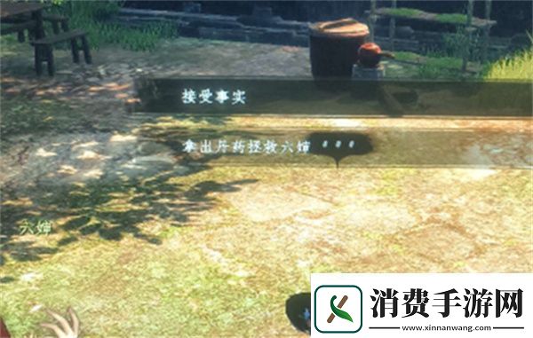 下一站江湖2六婶如何救治