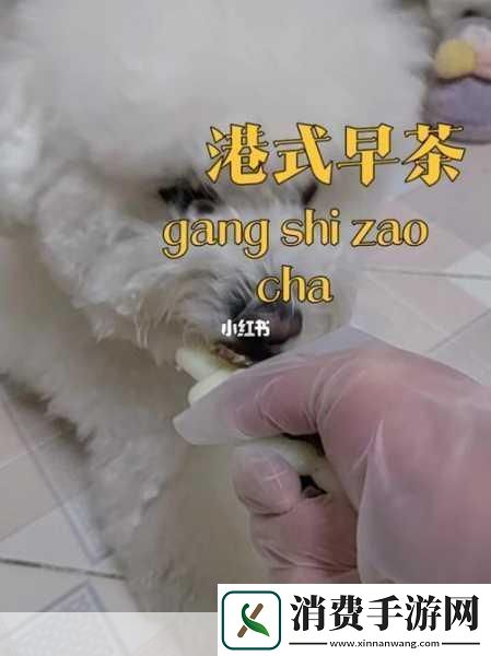 人狗胶配方大全免费天