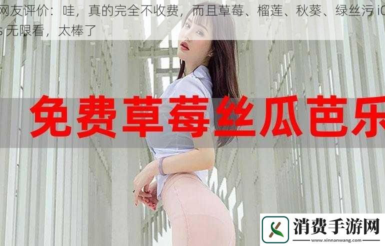网友评价