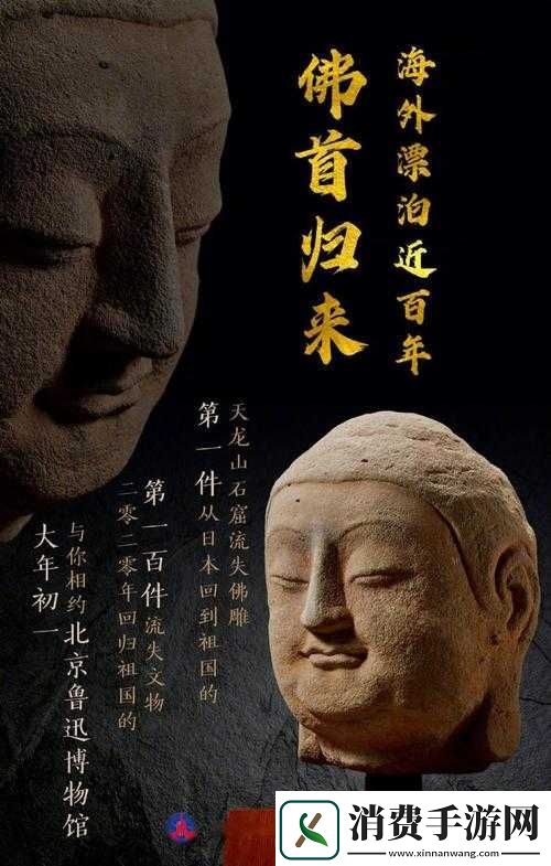 往日不再毒药何处寻及其背后的故事与探寻之旅