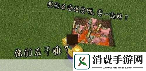 我的世界冷知识