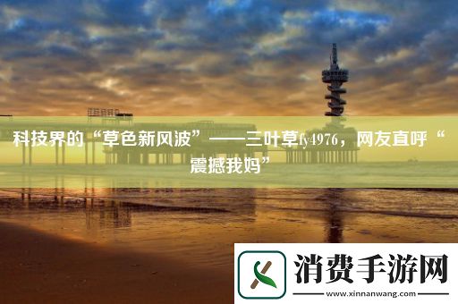 科技界的“草色新风波”——三叶草fy4976