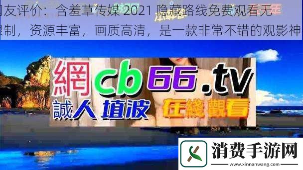 网友评价