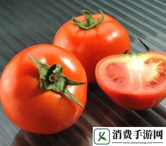 探索草莓樱桃丝瓜巨大的秋葵番茄的奇妙世界