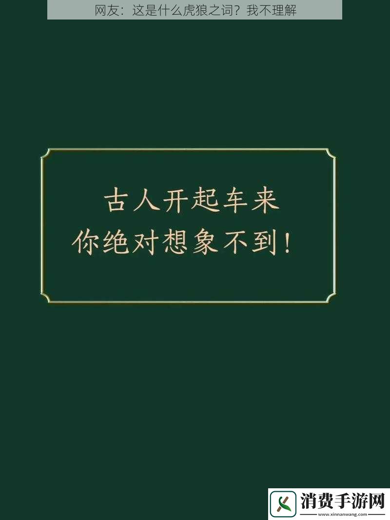 网友