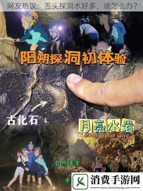 网友热议