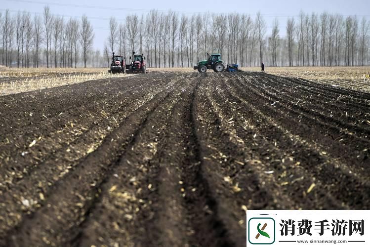 种出荒土奇谭逗笑众生——游戏攻略界的另类传说