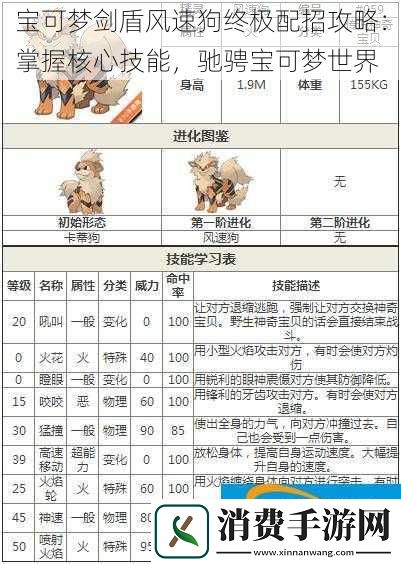 宝可梦剑盾风速狗终极配招攻略