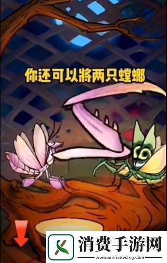 螂的诱惑白龙螳怎么获得