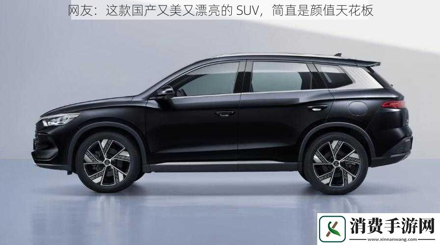 网友