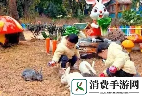 探秘课堂小宠物