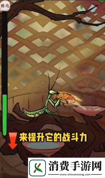 螂的诱惑白龙螳怎么获得