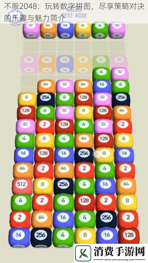不服2048