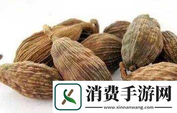 盐母