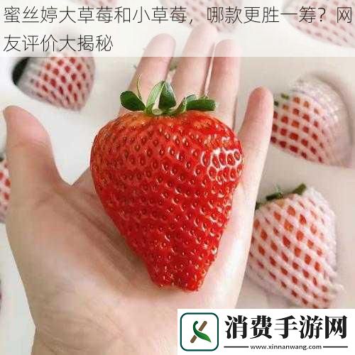 蜜丝婷大草莓和小草莓