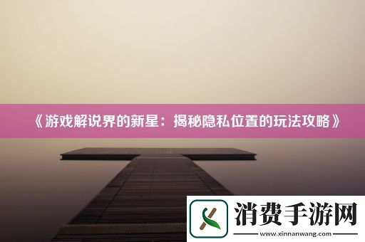 游戏解说界的新星