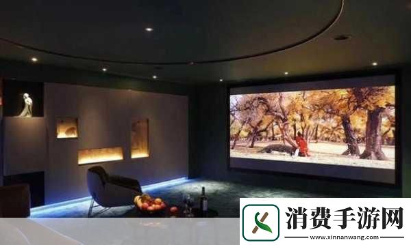 成都私人家庭影院的推荐理由韩国当然可以！以下是一些关于成都私人家庭影院的推荐理由拓展出的新