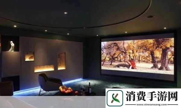 成都私人家庭影院的推荐理由韩国