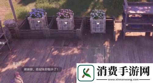 无限暖暖花箱的秩序任务怎么做